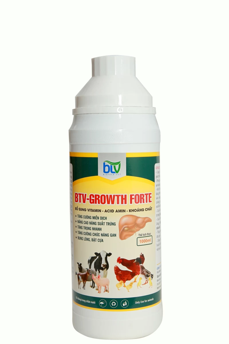 BTV - Growth Forte TCCS 06: 2017 / BTV