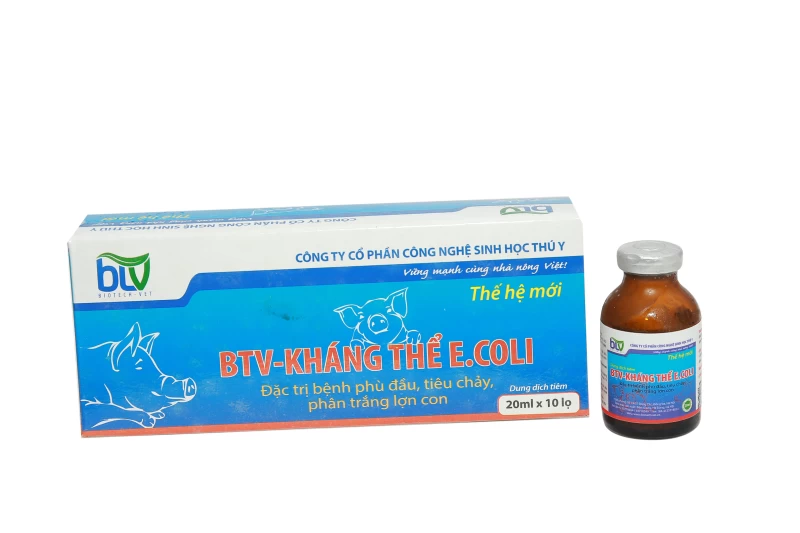 BTV- KHÁNG THỂ E.COLI