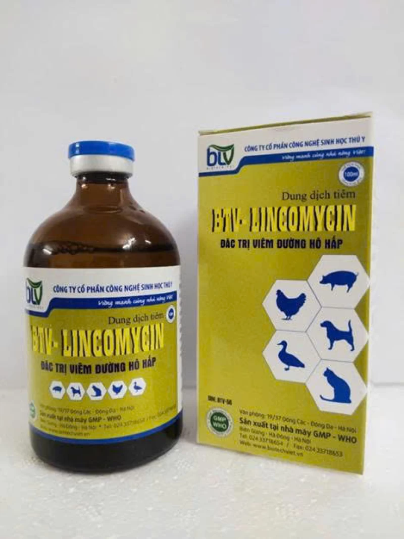 BTV- LINCOMYCIN BTV-56