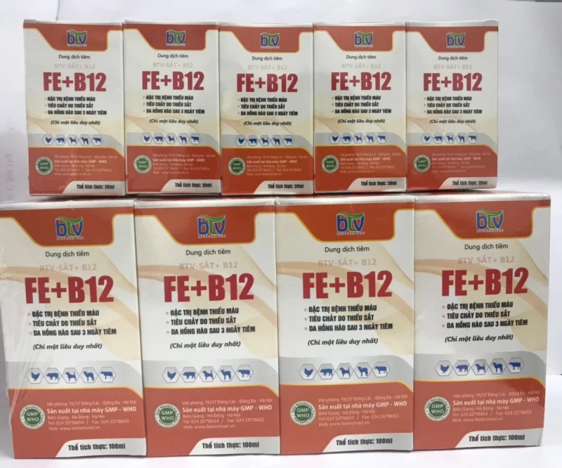 BTV - Sắt +B12