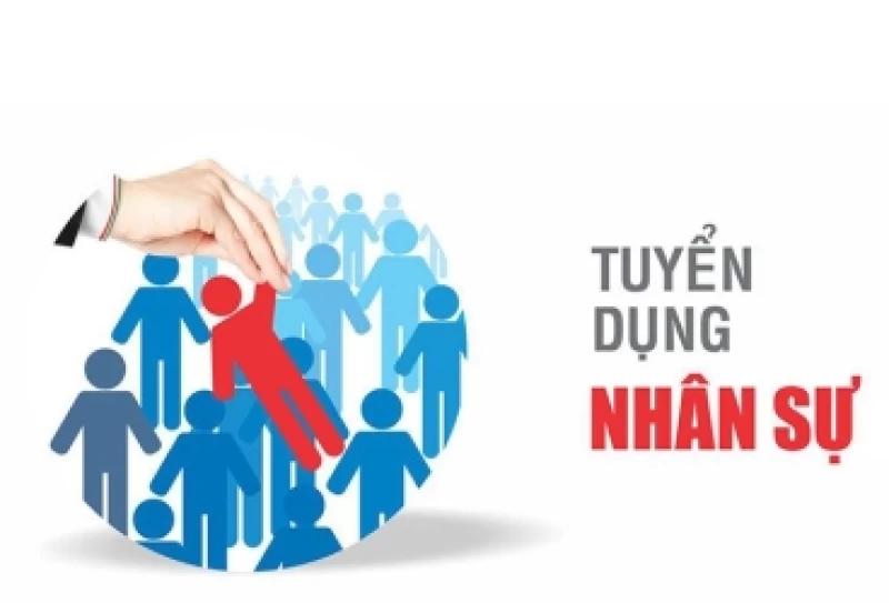 BTV tuyển dụng 05 nhân sự kinh doanh khu vực miền Bắc, thu nhập hấp dẫn